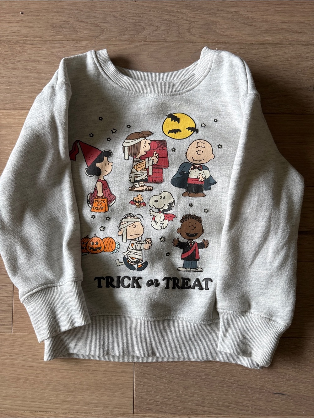 Peanuts Gray Halloween Trick or Treat Sweatshirt